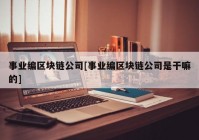 事业编区块链公司[事业编区块链公司是干嘛的]