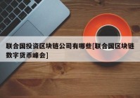 联合国投资区块链公司有哪些[联合国区块链数字货币峰会]